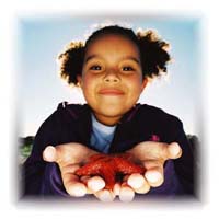 A girl with cute fuzzy hair holding a starfish.